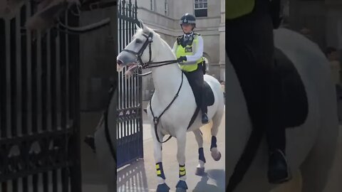 the same police officer that grabed the tourist by his backpack #horseguardsparade