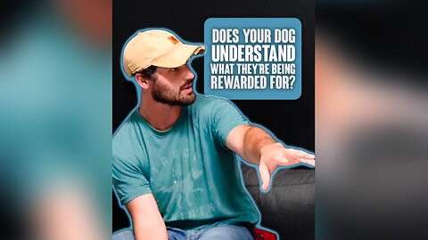 Does your dog understand what they’re being rewarded for?