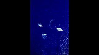 UFO 🛸 COMMUNICATION…Buzz Now