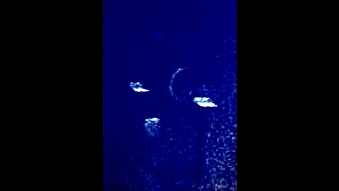 UFO 🛸 COMMUNICATION…Buzz Now