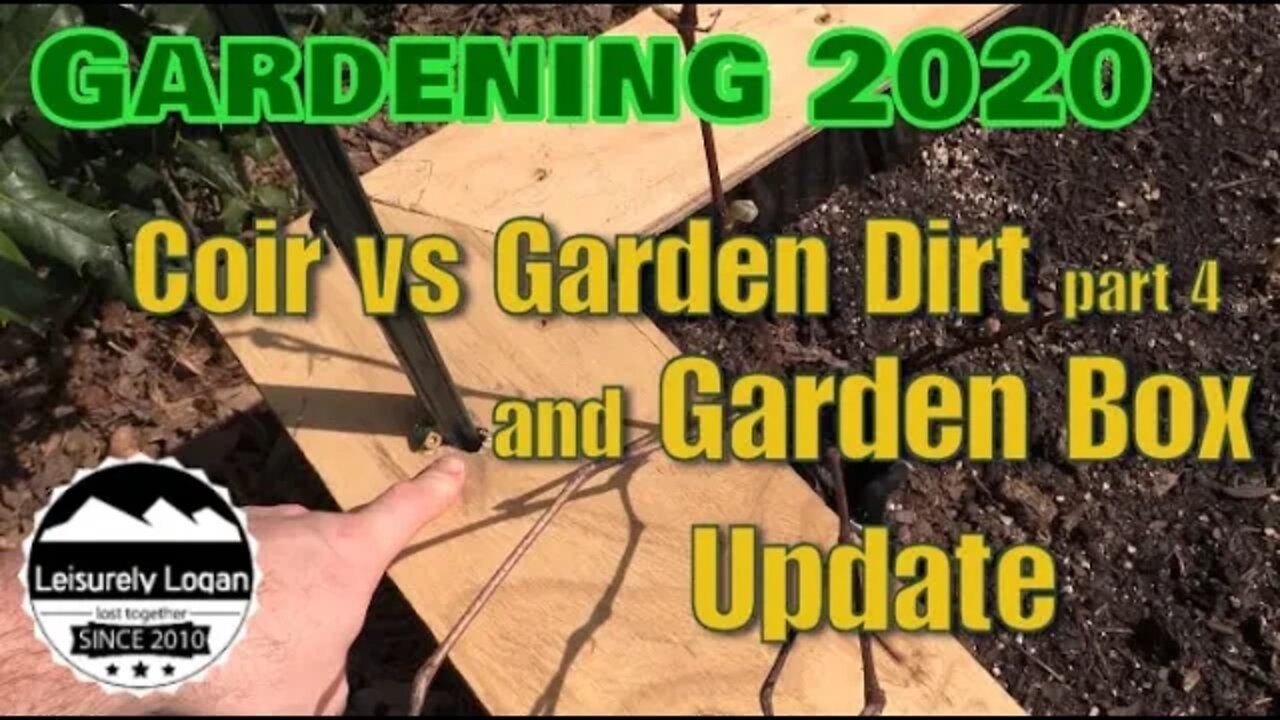 Seed Starting : Coir vs Dirt part 4 and a Garden Box update