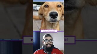 O Akinator não vai adivinhar o Cachorro Caramelo? #akinator