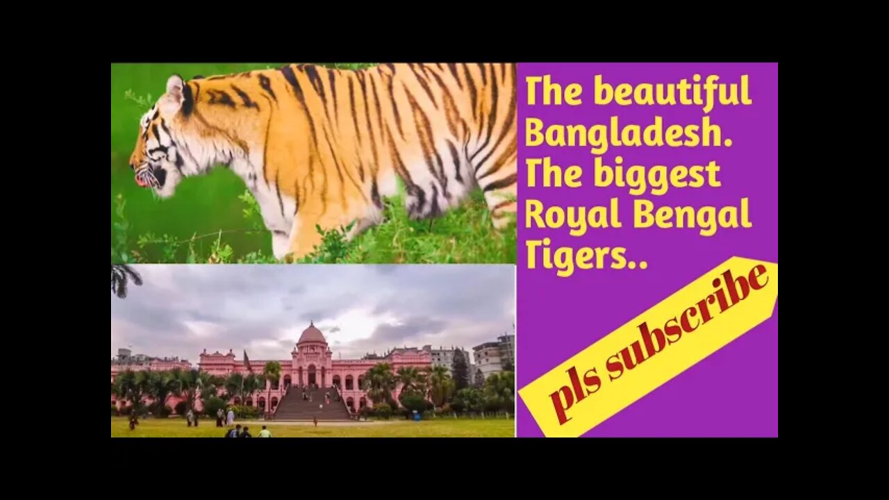 BANGLADESH _ Raw Beauty _ 4K HDR UltraHD (60 FPS)(720P_HD)