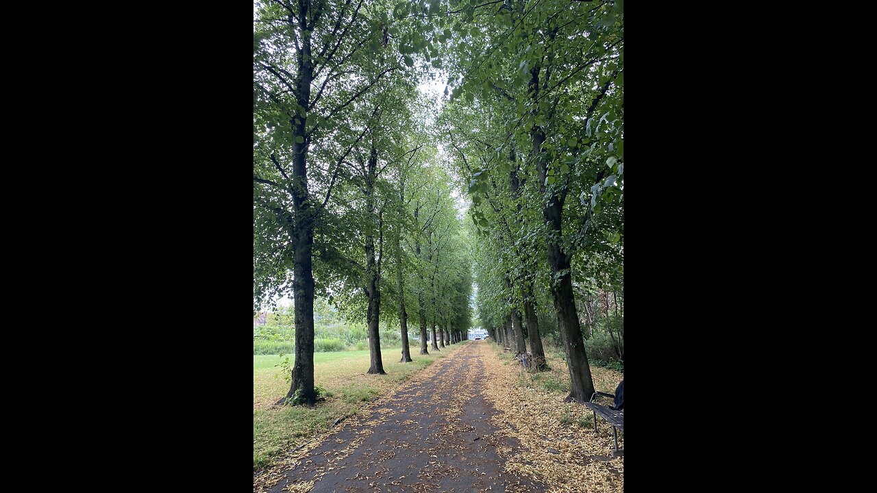 #Beauty of copenhagen ❤️🇩🇰