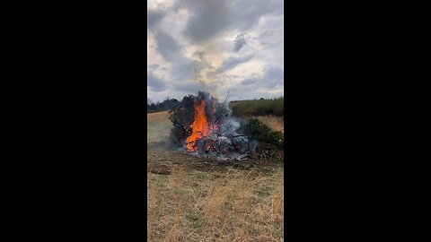 One more brush pile down