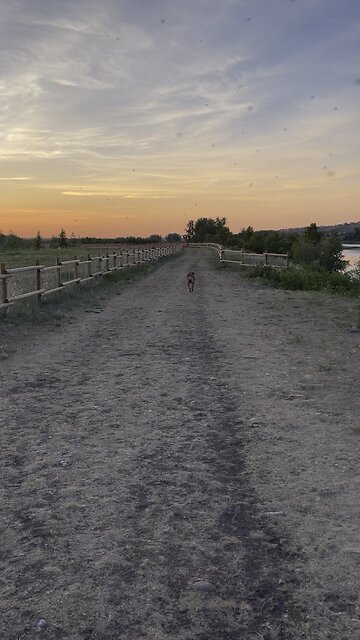 Bow River at Sunset YYC