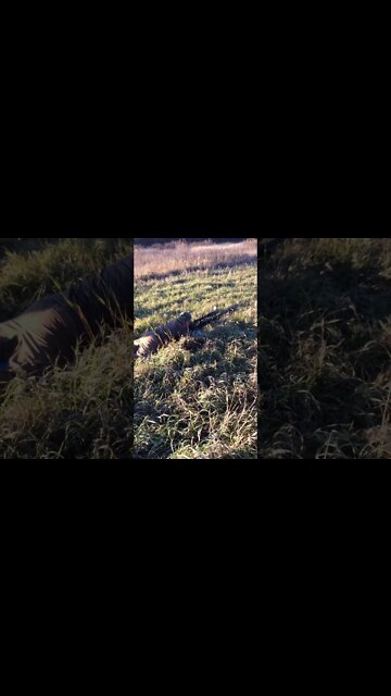 50 Cal Barrett Sniper Rifle-Familiarization for my “dentist” clients (Oct 2017)