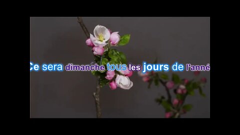 Julien Clerc Mon refuge Karaoke