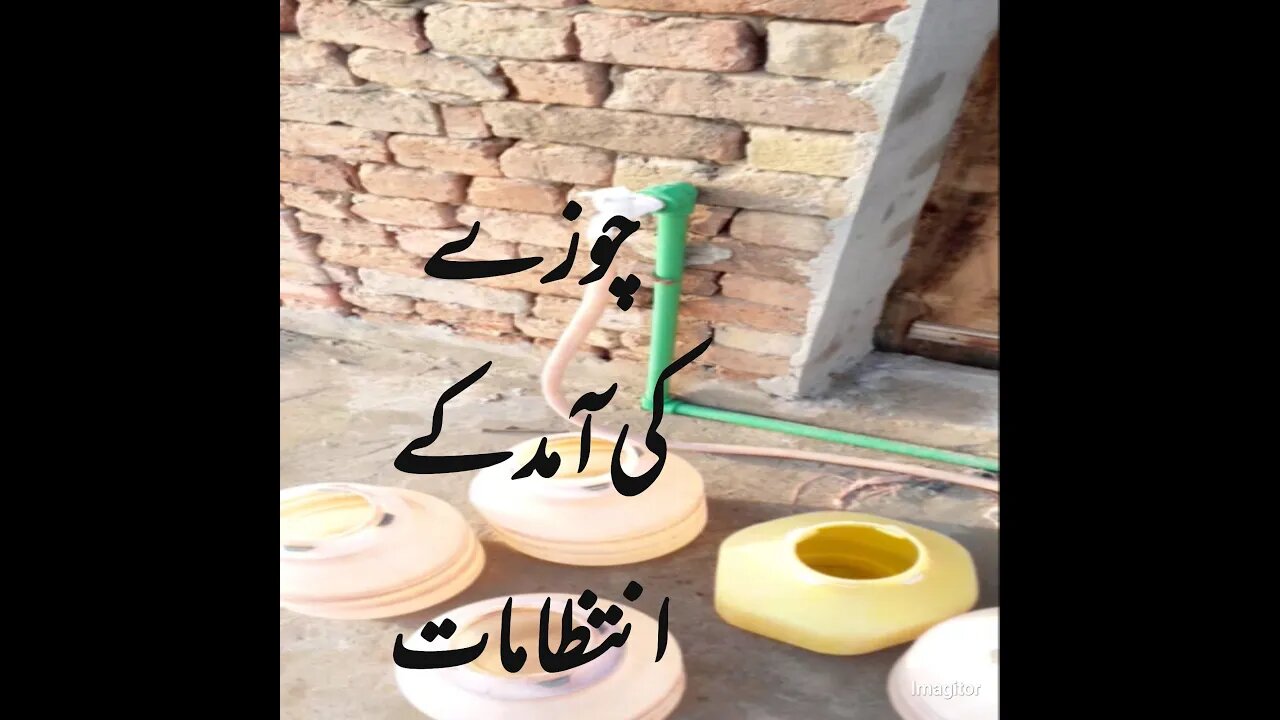 Poultry Arrangements Befor Chicks Arrived-چوزوں کی آمد سے پہلے کے انتظامات