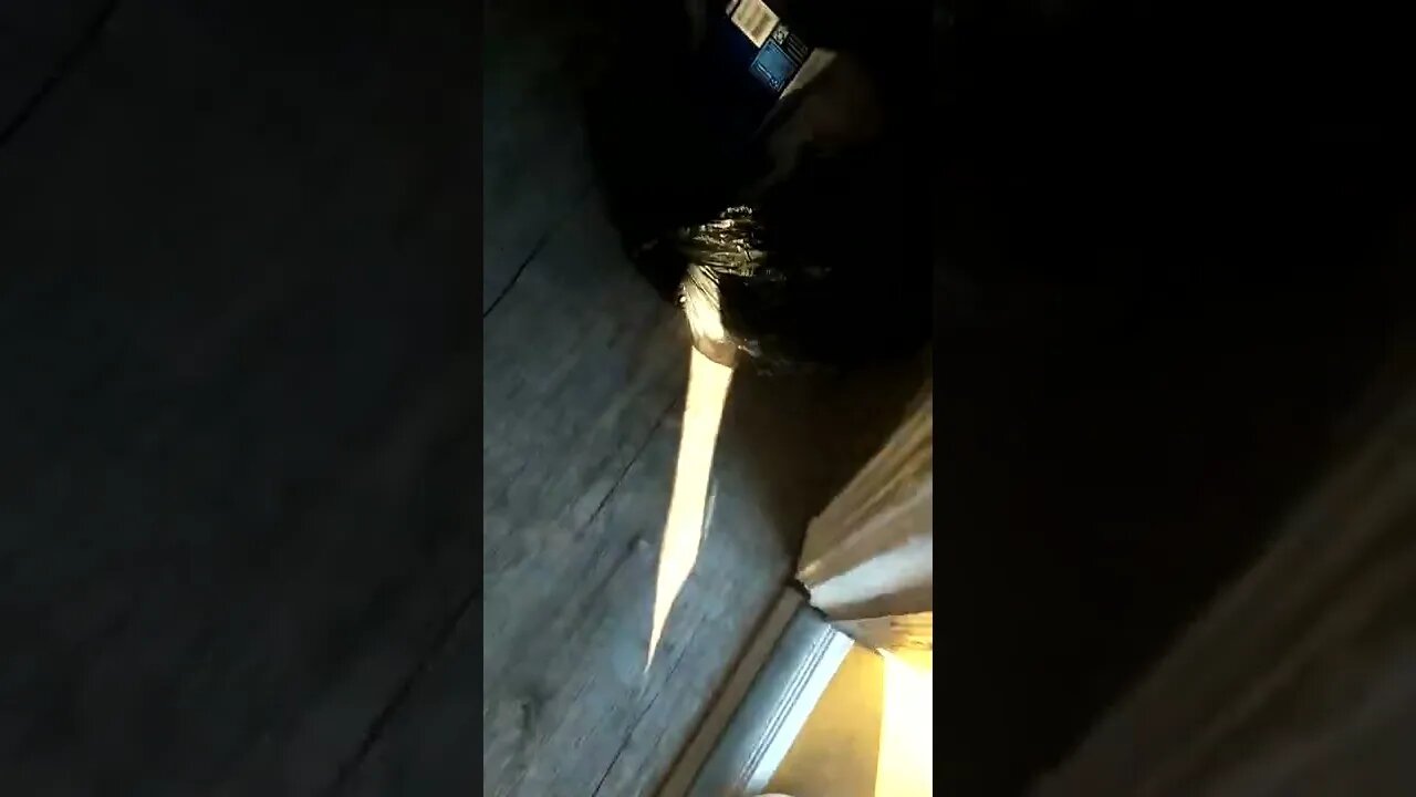 Loud motel neighbors Pt. 2