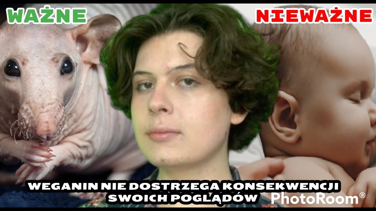 Weganin Juliusza Aleksandera Szatkowskiego Nie Dostrzega Konsekwencji Swoich Poglądów.