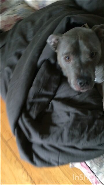 D man Under his blanket