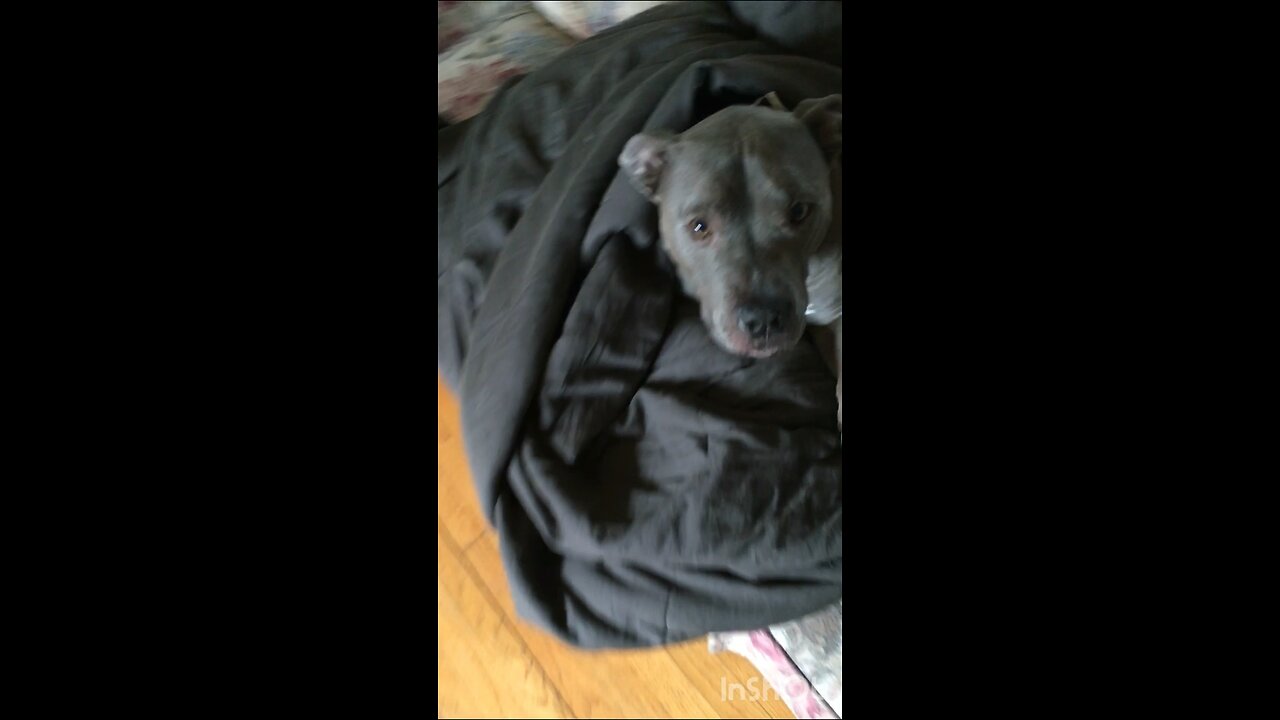 D man Under his blanket