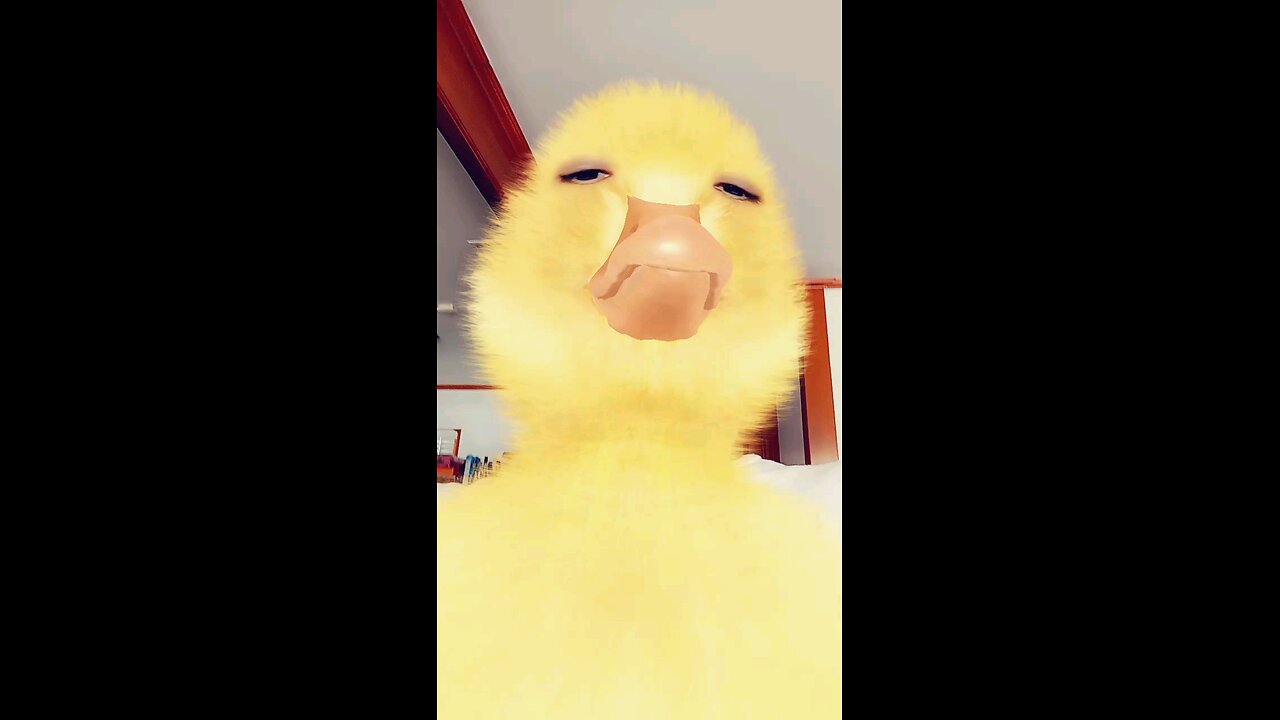 Snapchat Filter. The Cute Duckling. Snapchat Filtro. El Patito Bonito. 5.30.2024 Snapchat