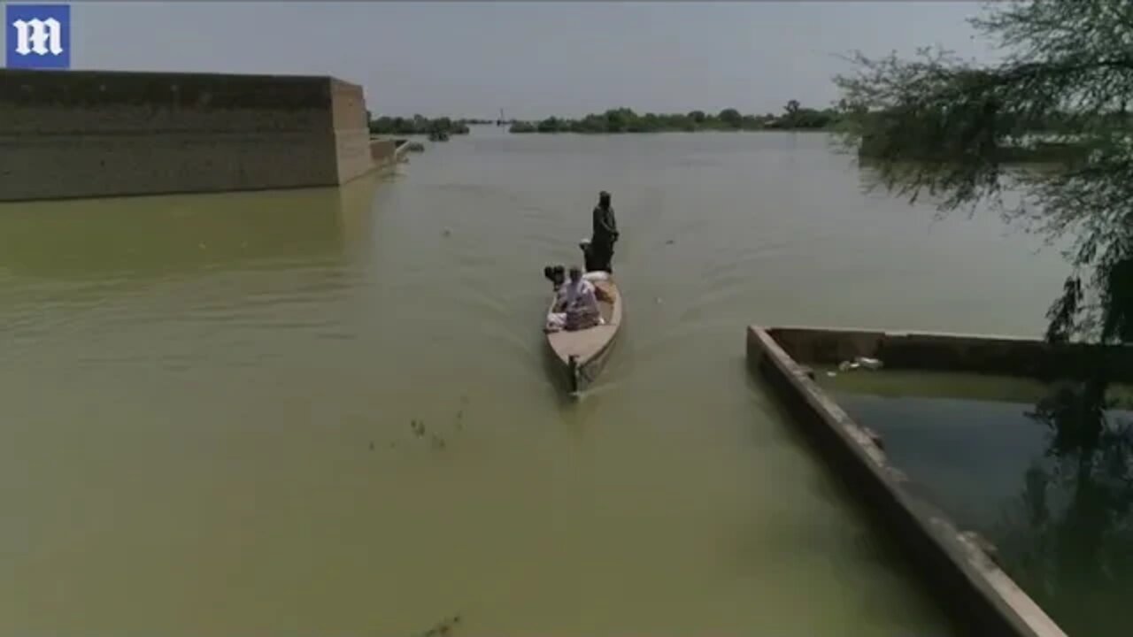 Video: People rely on boats as more deadly floods devastate Pakistan