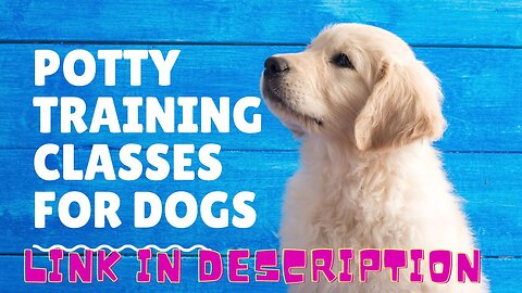 Potty Training Classes For Dogs - Potty Training Classes For Puppies