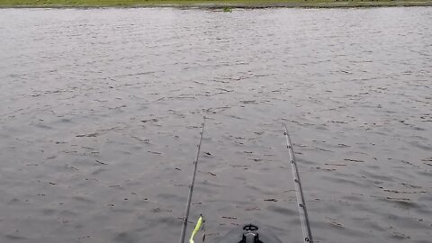 The Crap Shoot That Is My Life