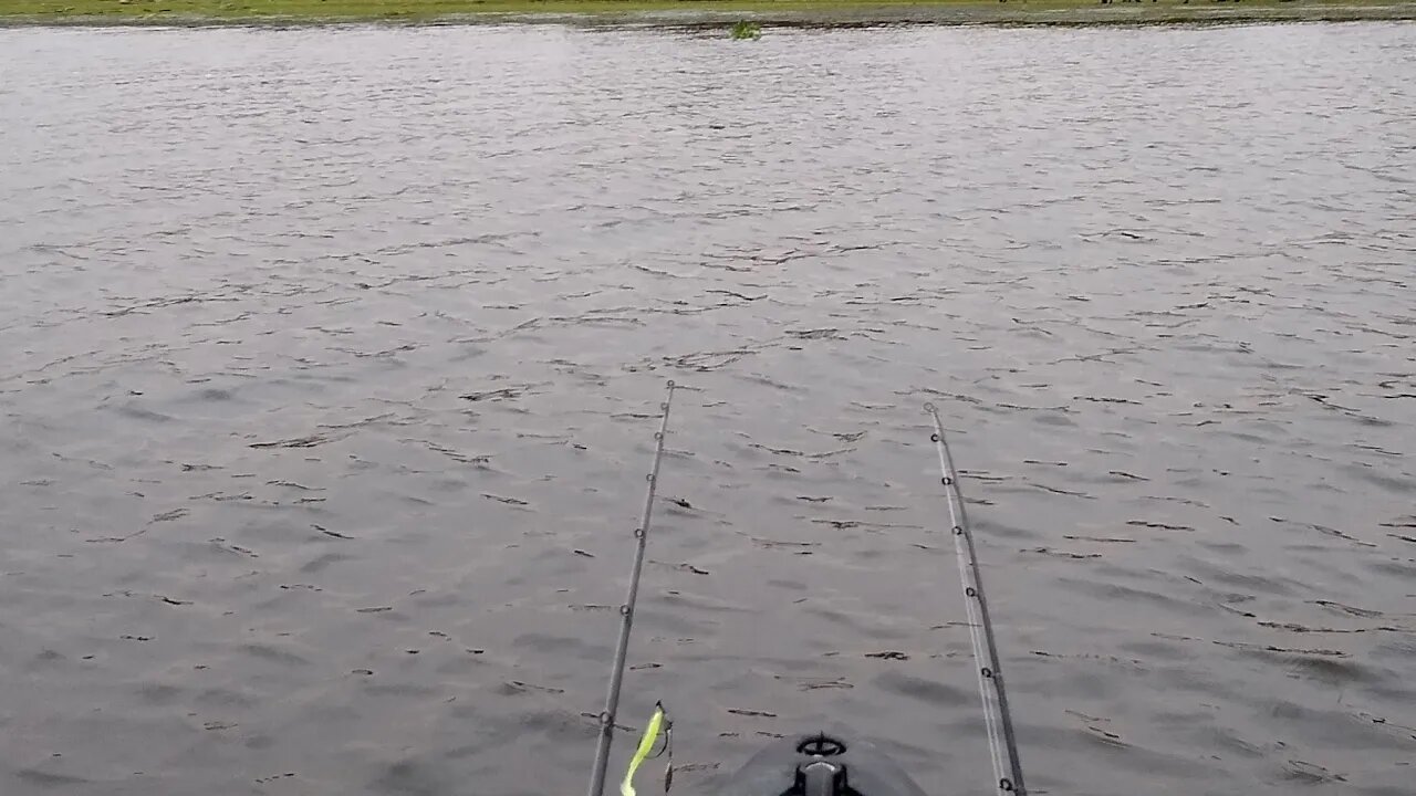 The Crap Shoot That Is My Life