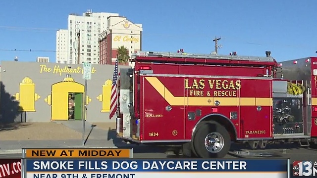 Fire scare at downtown dog daycare center