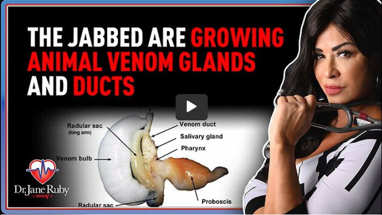 The Jabbed Are Growing Animal Venom Glands and Ducts