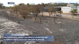 Ipatinga: Incêndios Florestais preocupam CB, há suspeita de casos de origem humana.