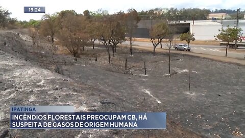 Ipatinga: Incêndios Florestais preocupam CB, há suspeita de casos de origem humana.