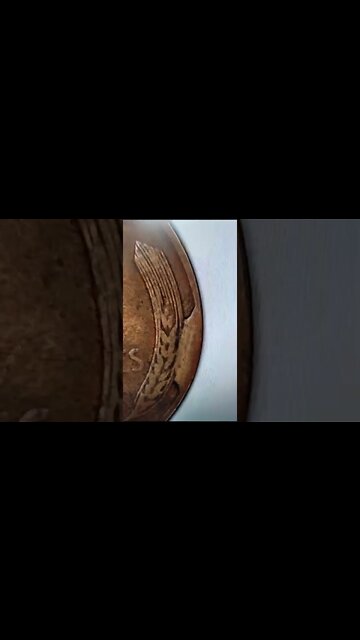 Look for this on all of your Coins! #coins #money #coincollecting