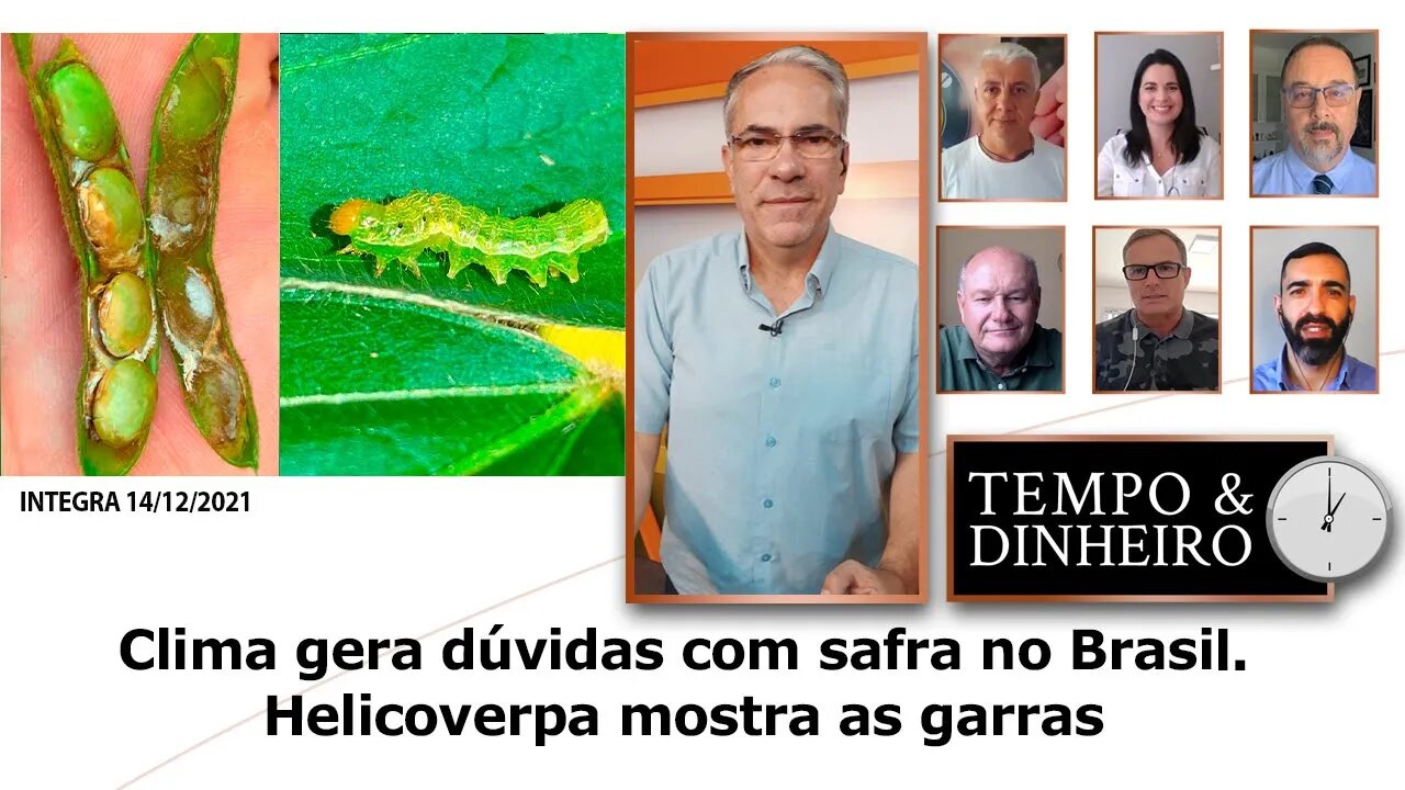 Clima gera dúvidas com safra no Brasil. Helicoverpa mostra as garras