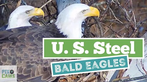 U. S. Steel Eagles