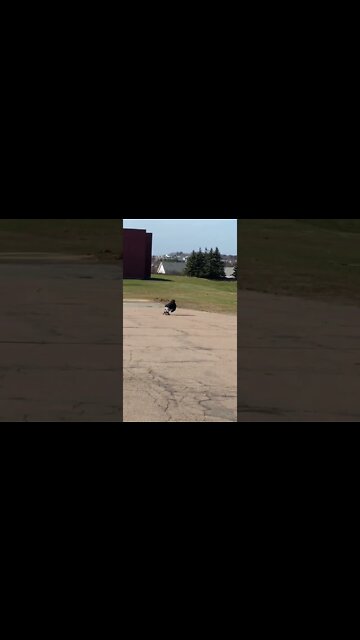 Trying out different longboard techniques