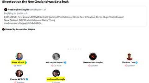 Steve Kirsch Validates The NZ Whistleblower's Dashboard On Twitter Spaces Dec 9.