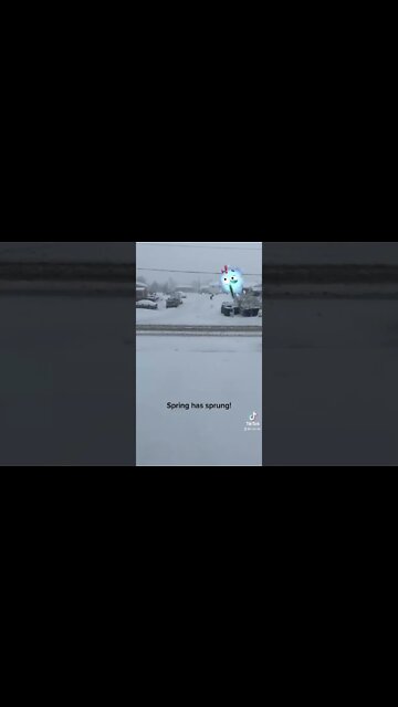 Springtime in Wyoming!￼