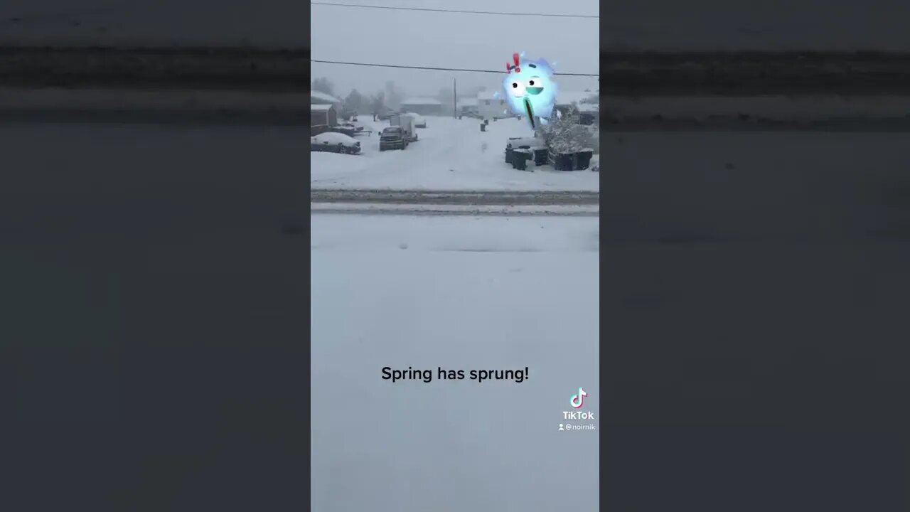 Springtime in Wyoming!￼