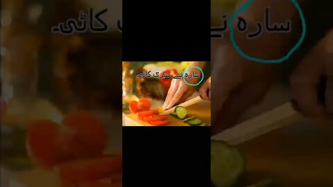 Class II Urdu B lec6 Faeel ki wazahat