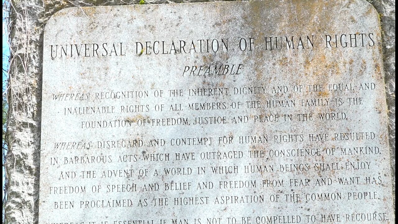 Human Rights Education Institute Promotes The Universal Declaration Of Human Rights