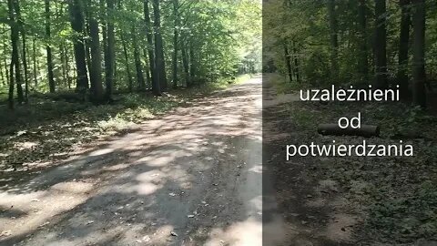 uzależnieni od potwierdzania