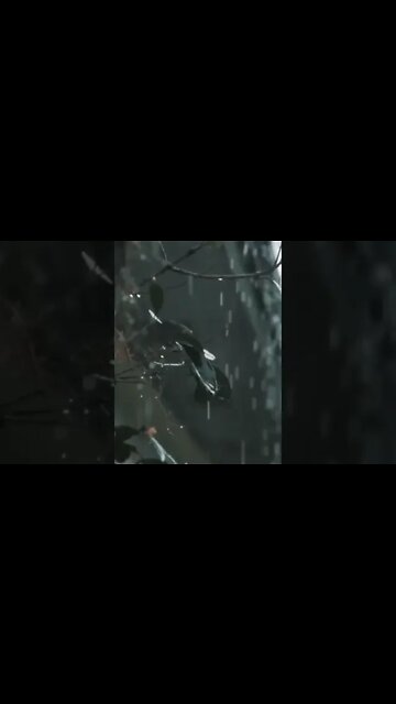 Relaxing Rain Sounds And Music For Sleeping | #shorts #relaxmusic #deepsleep| Your Vision's Factory