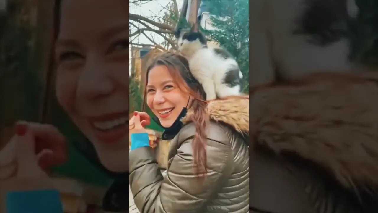 Kitten adopts human...🐈🐾🚶‍♀️❤️