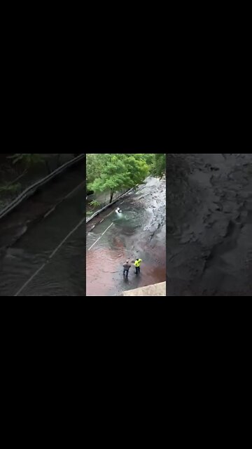 Car Under Water in Sinkhole! #MegaFails #Shorts