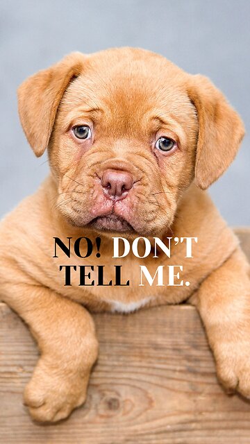 Poisonous Love: How to Avoid It and Find Purpose