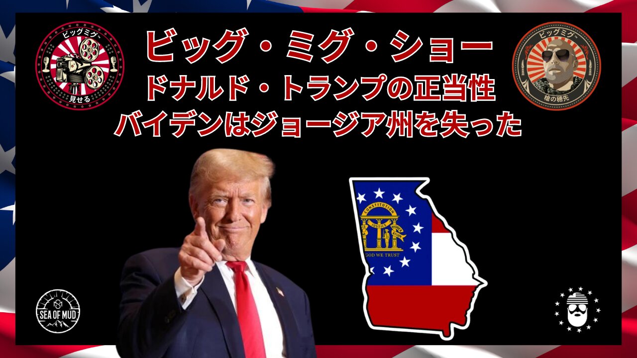 GA SOS ラッフェンスペルガー、2020 年の選挙結果を事実と異なるものとして記録したことを正式に通知 |EP186