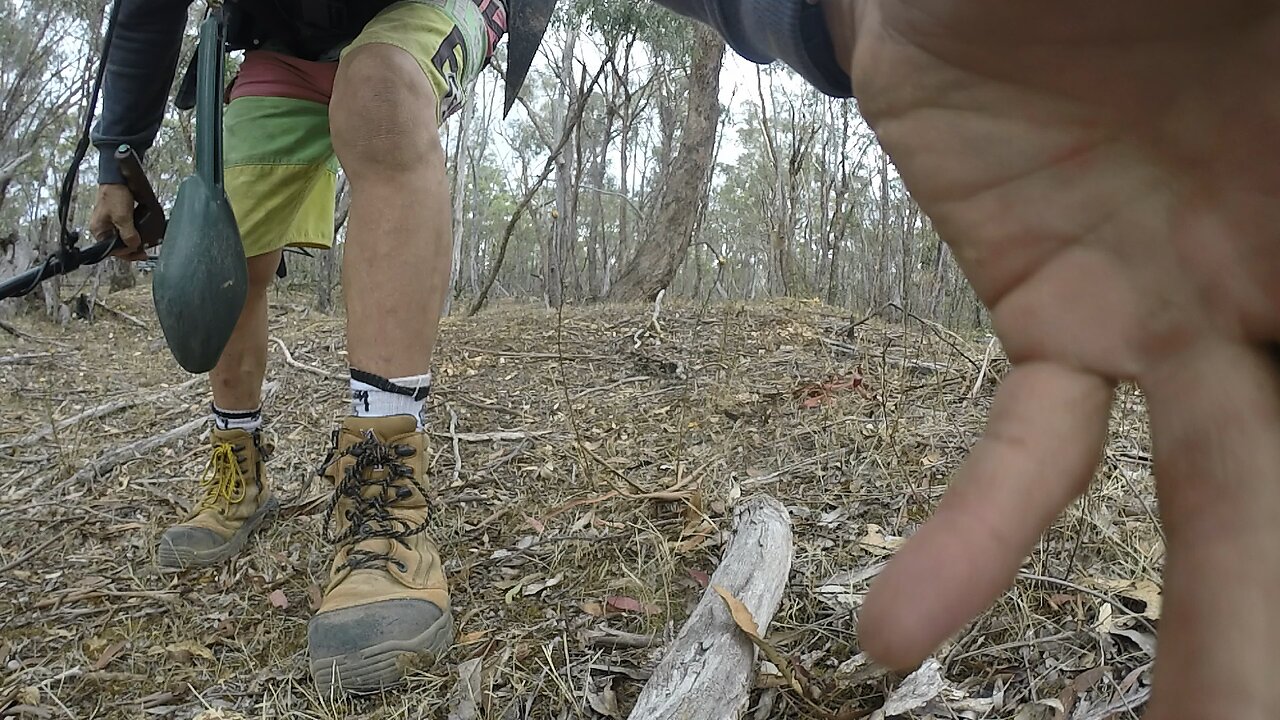 Hunting GOLD.
