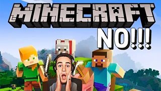 We Did Not Like Minecraft!