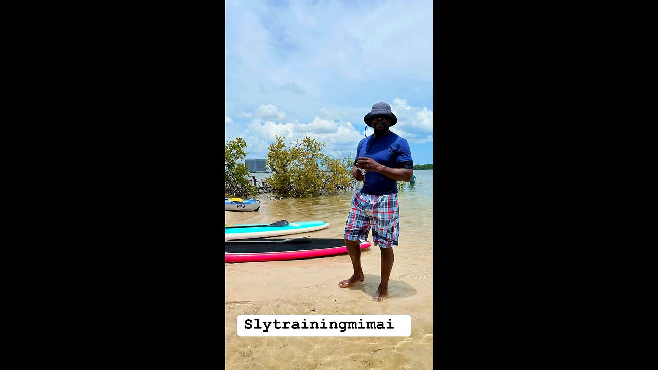 Slytrainingmimai