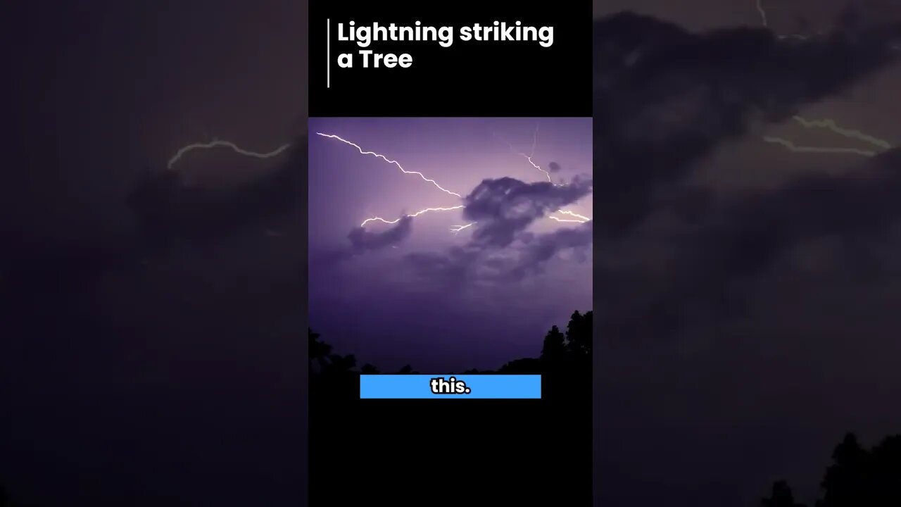 Lightning Striking a Tree