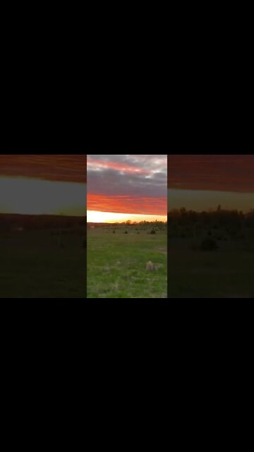 Orange sunset over a Canadian highway