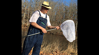 Aerial Butterfly Net with a telescoping handle