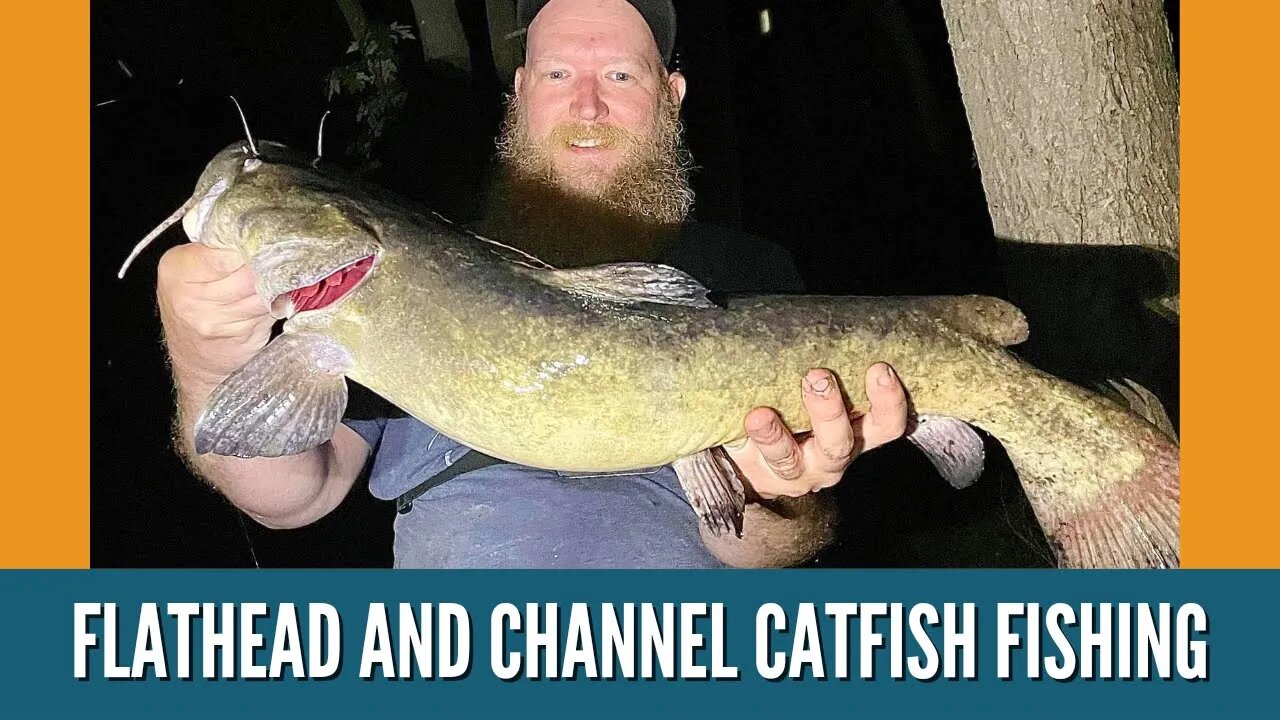 Flathead And Channel Catfish Fishing / Michigan Catfish Fishing / Grand River Catfish Fishing