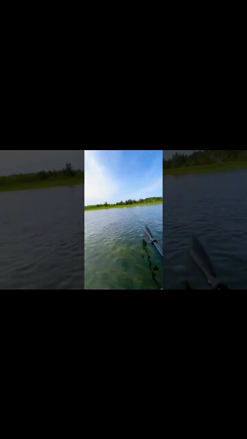 Kayaking in Prince Edward Island