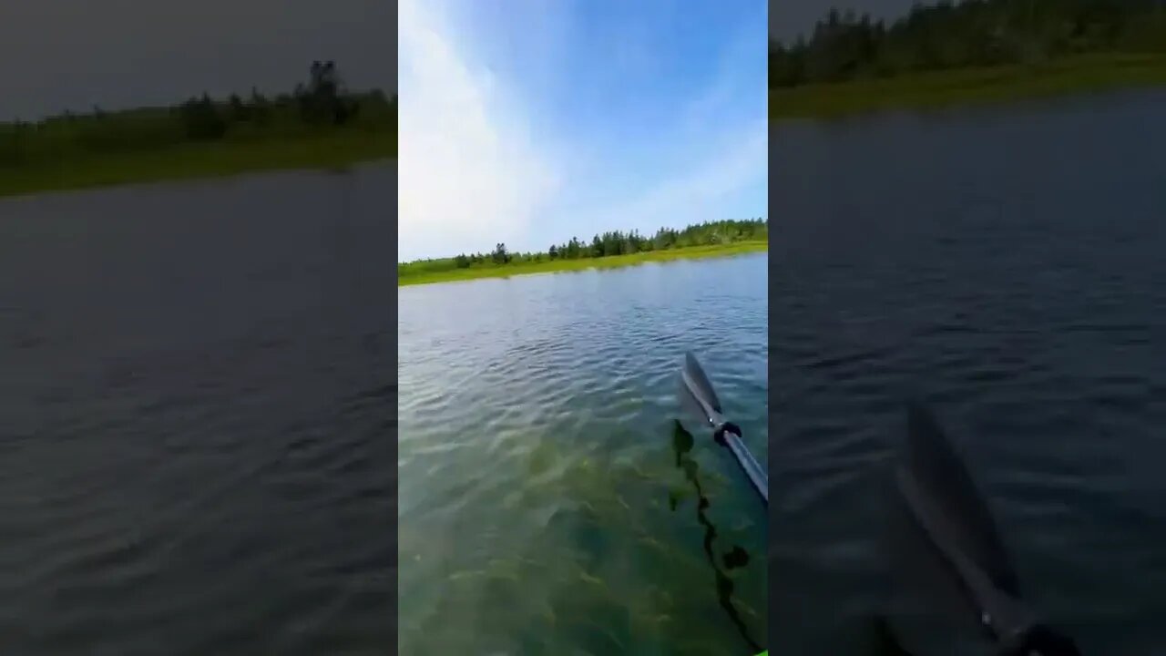 Kayaking in Prince Edward Island